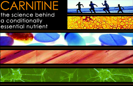 Carnitine the Science Behind an Essential Nutrient